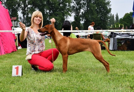 CAC Ml.Boleslav - puppy class 17.7.2021