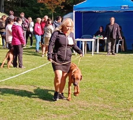 Regional dog show Louny 25.9.2022